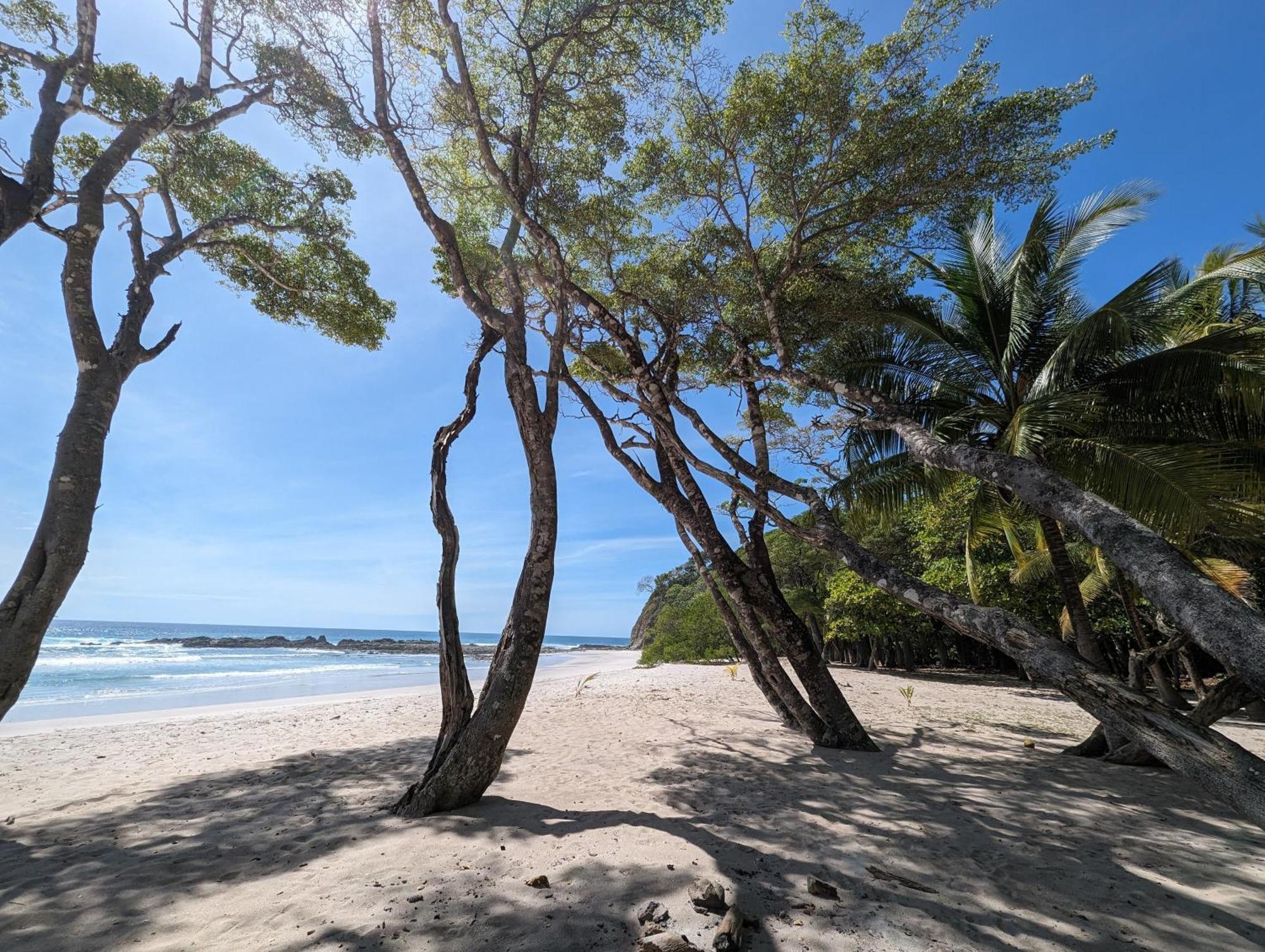 Spirit Of Jungle Lodge Самара Екстер'єр фото
